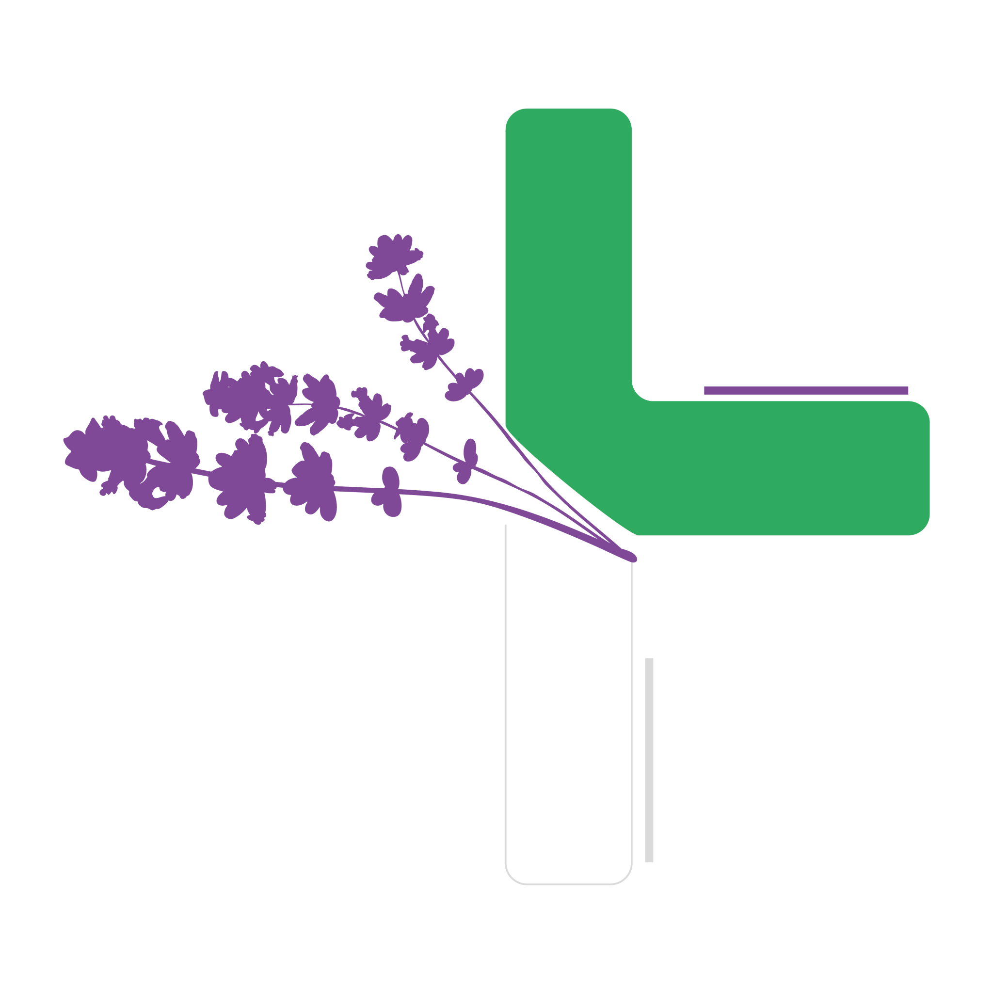  quipe Pharmacie De Saint Nolff Phytoth rapie Orthop die Hom opathie